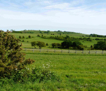 Cissbury Ring